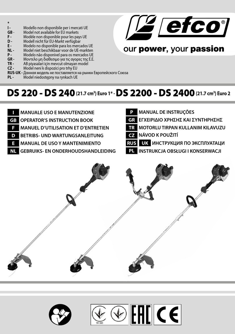 Efco DS 220 Manual