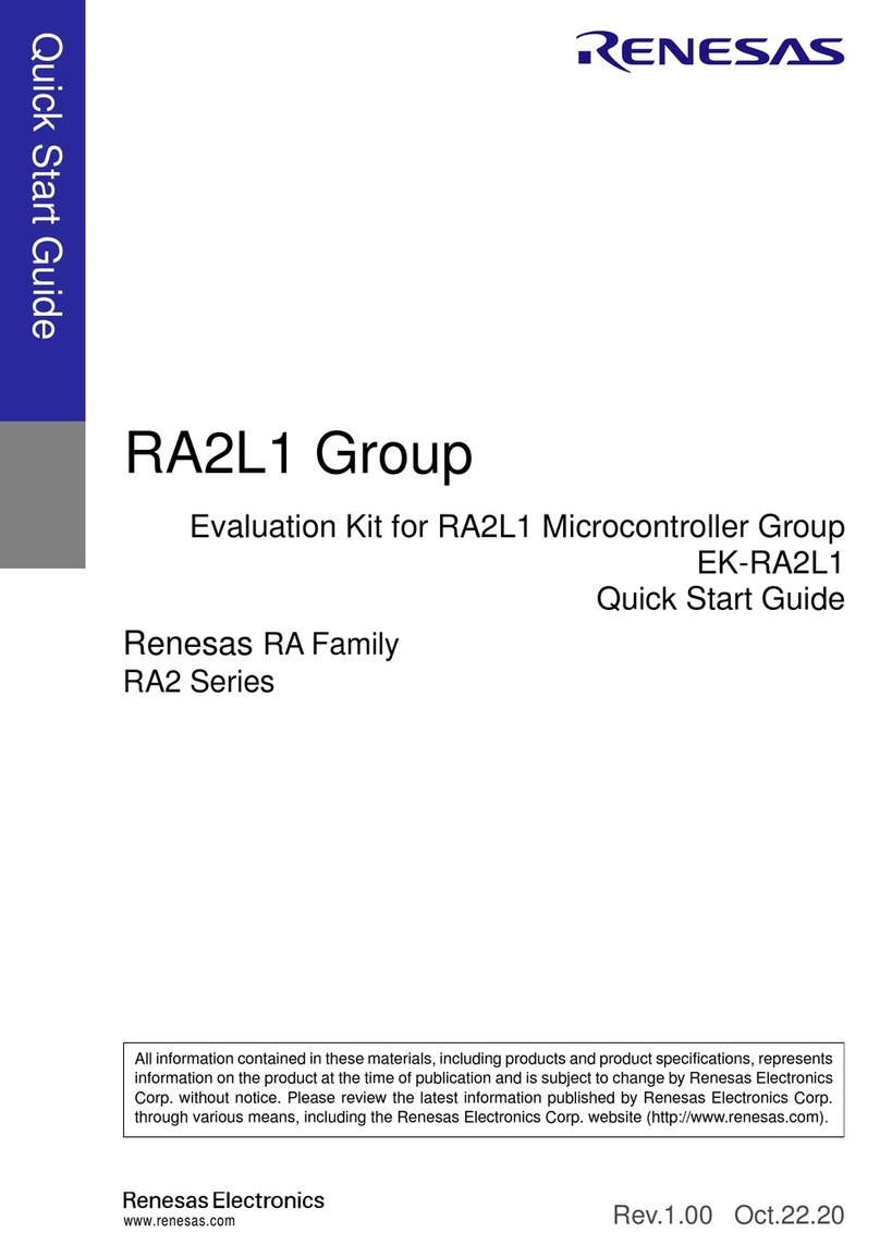 Renesas RA2L1 User manual