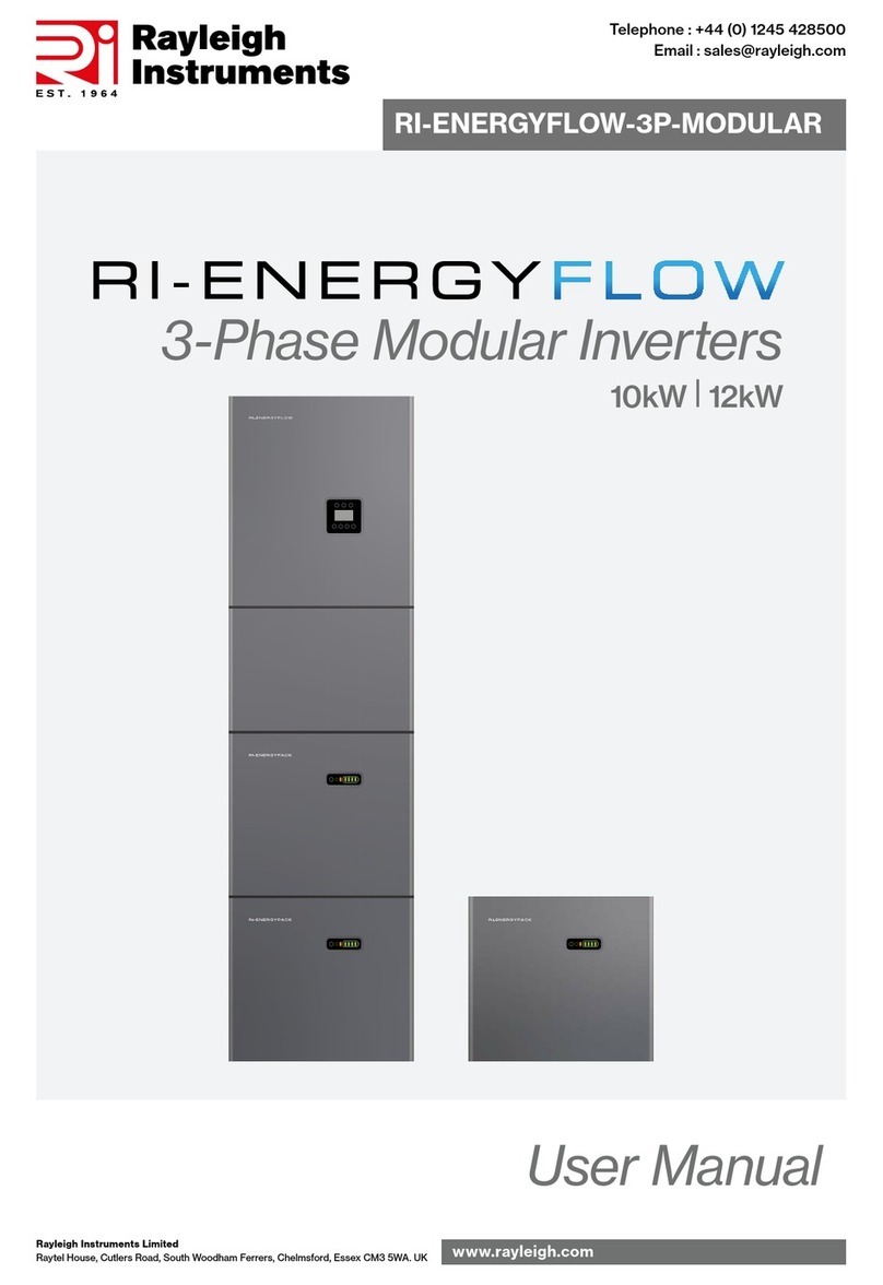 Rayleigh Instruments RI-ENERGYFLOW-3P-MODULAR... user manual