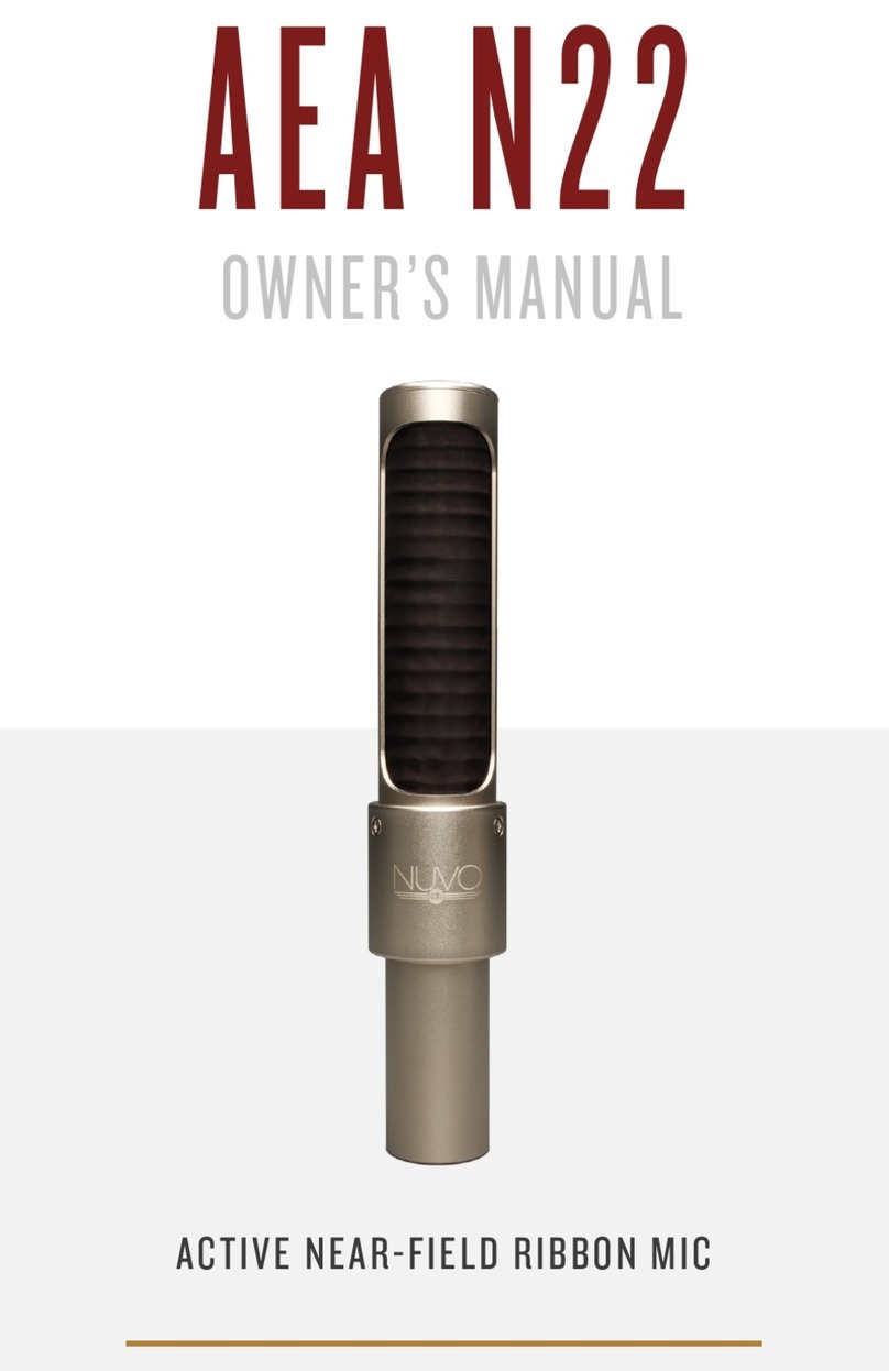 AEA AEA N22 User manual