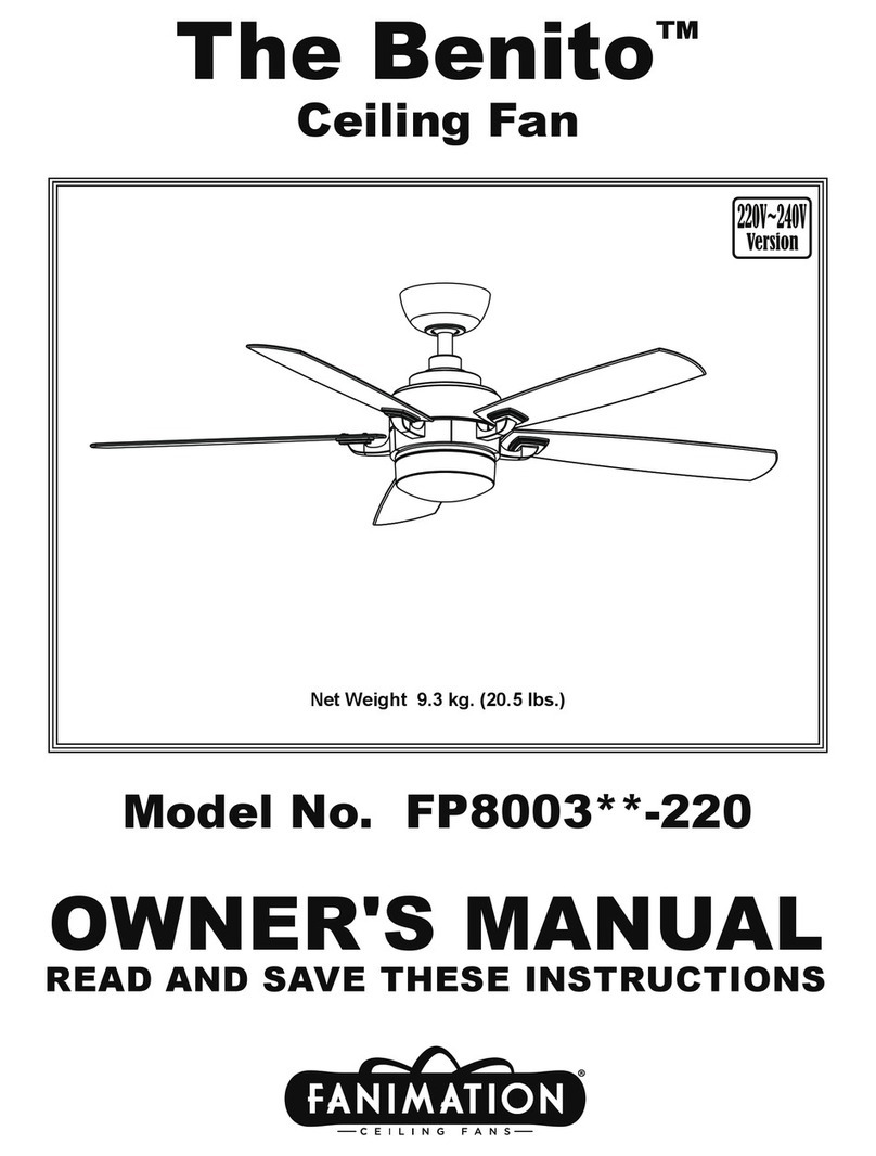 Fanimation Benito FP8003 220 Series User manual
