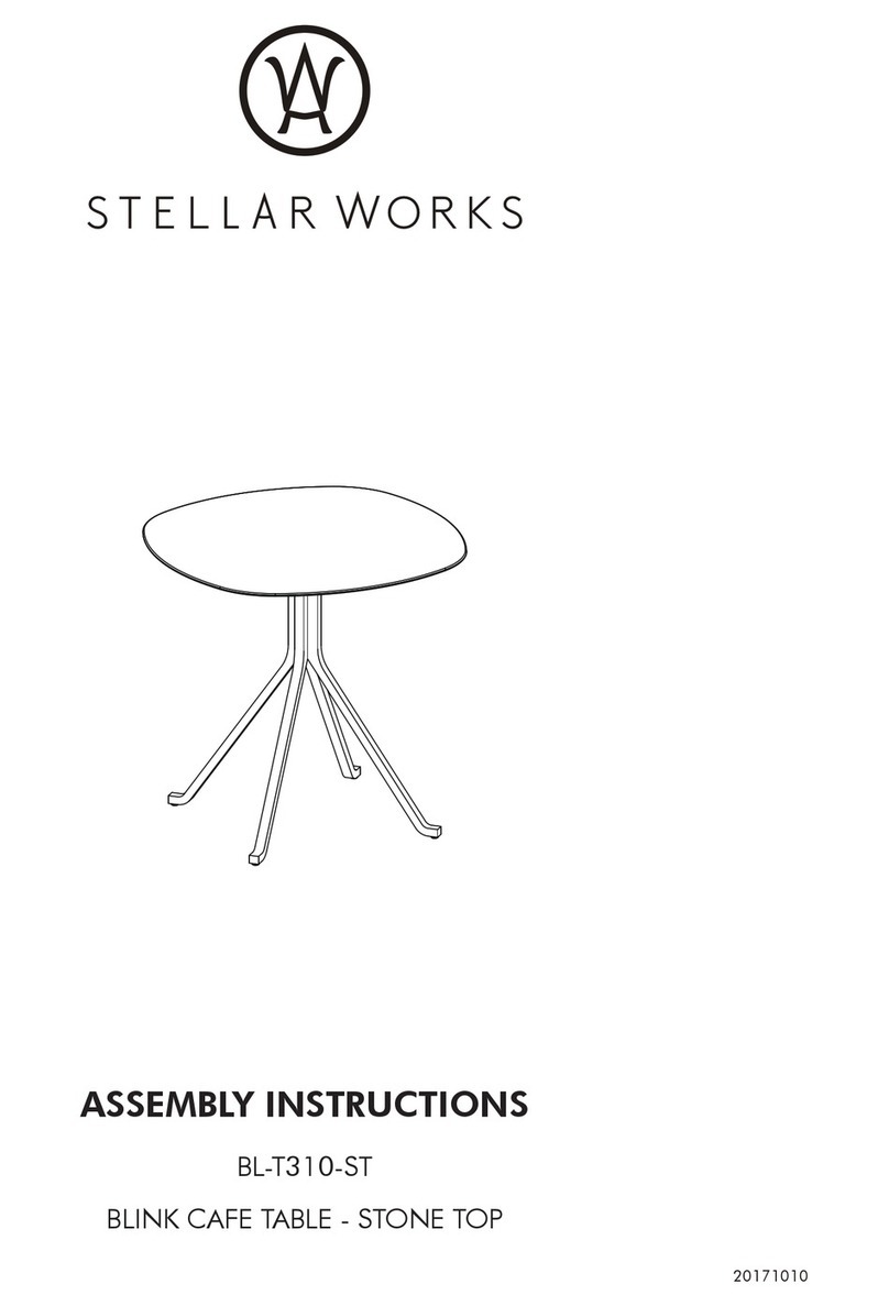 Stellar Works BL-T310-ST User manual