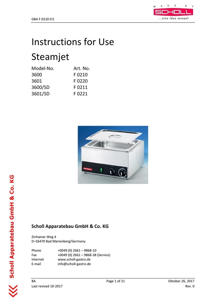 Scholl Steamjet 3600 Instructions for use