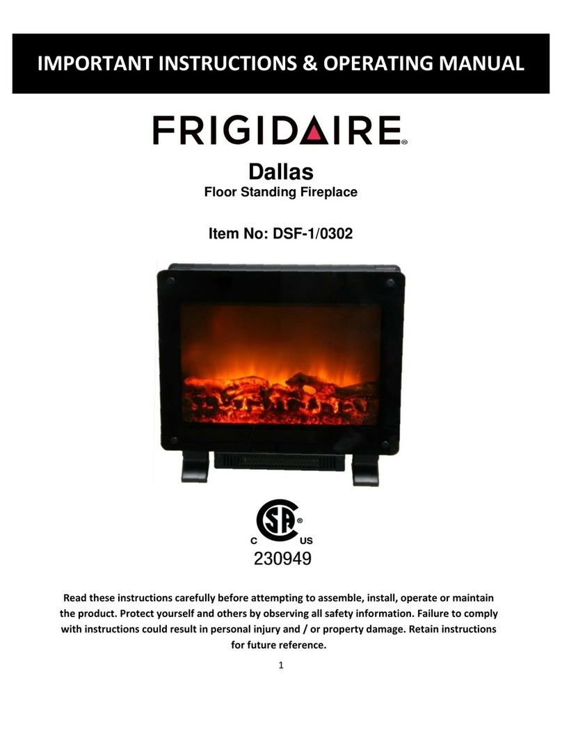 Frigidaire Dallas DSF-1/0302 Important instructions & operating manual