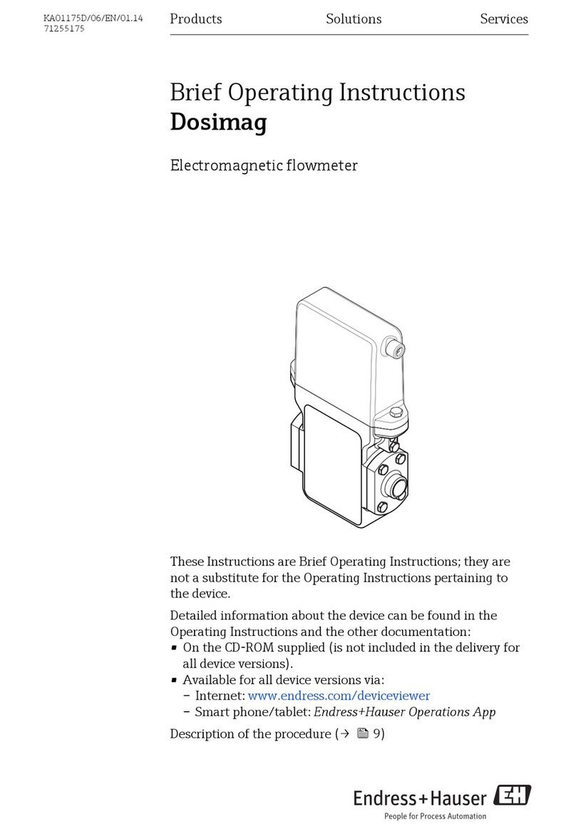 Endress+Hauser Dosimag User manual