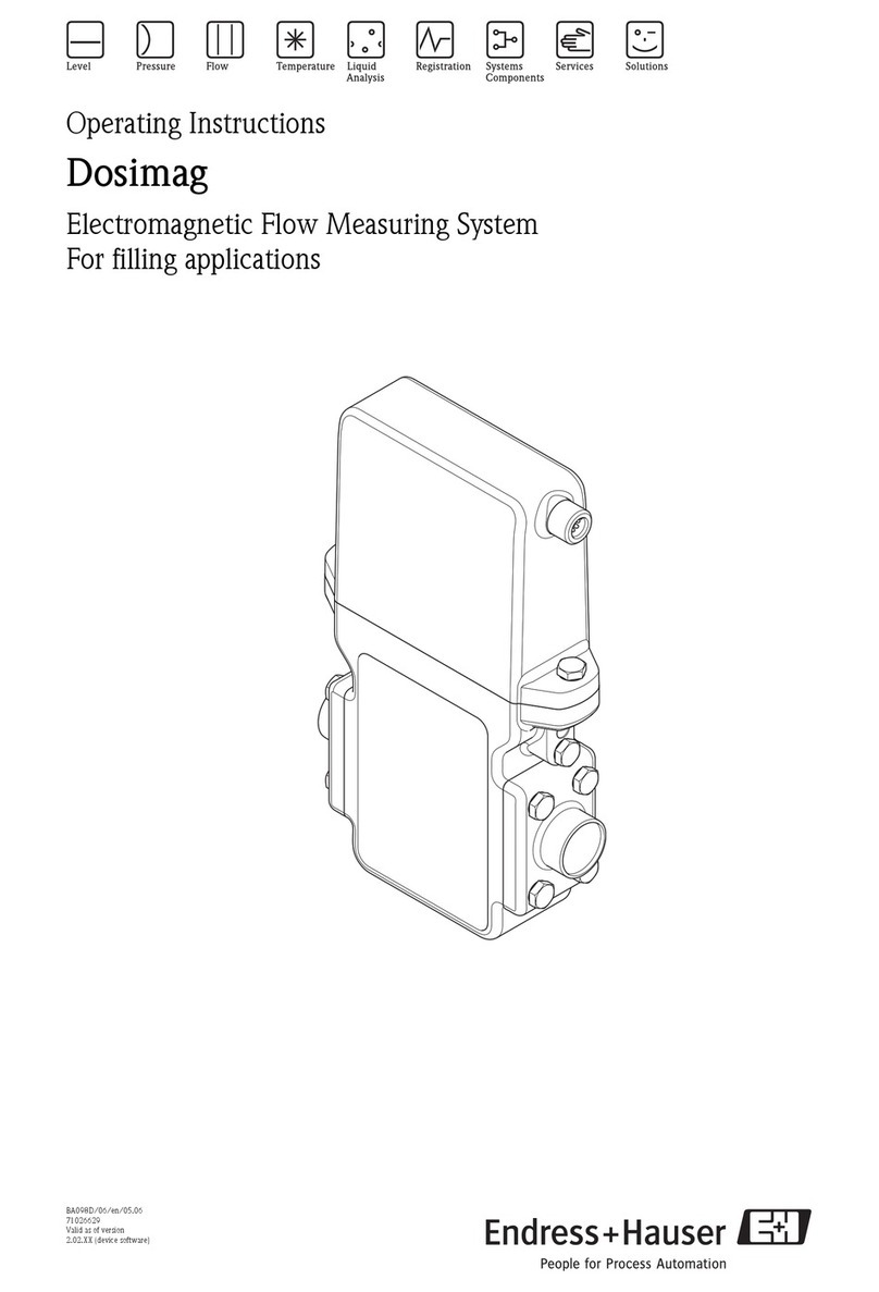 Endress+Hauser Dosimag User manual