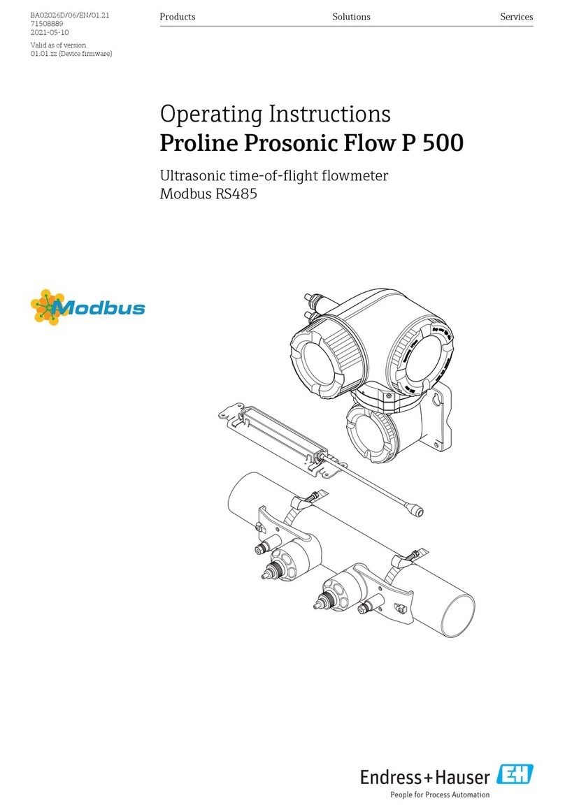 Endress+Hauser Proline Prosonic Flow P 500 User manual