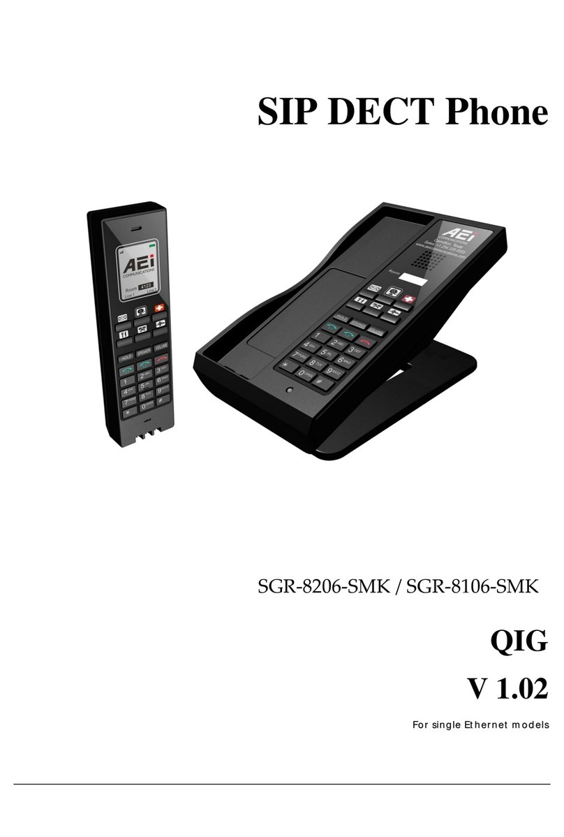 AEI SGR-8206-SMK QIG