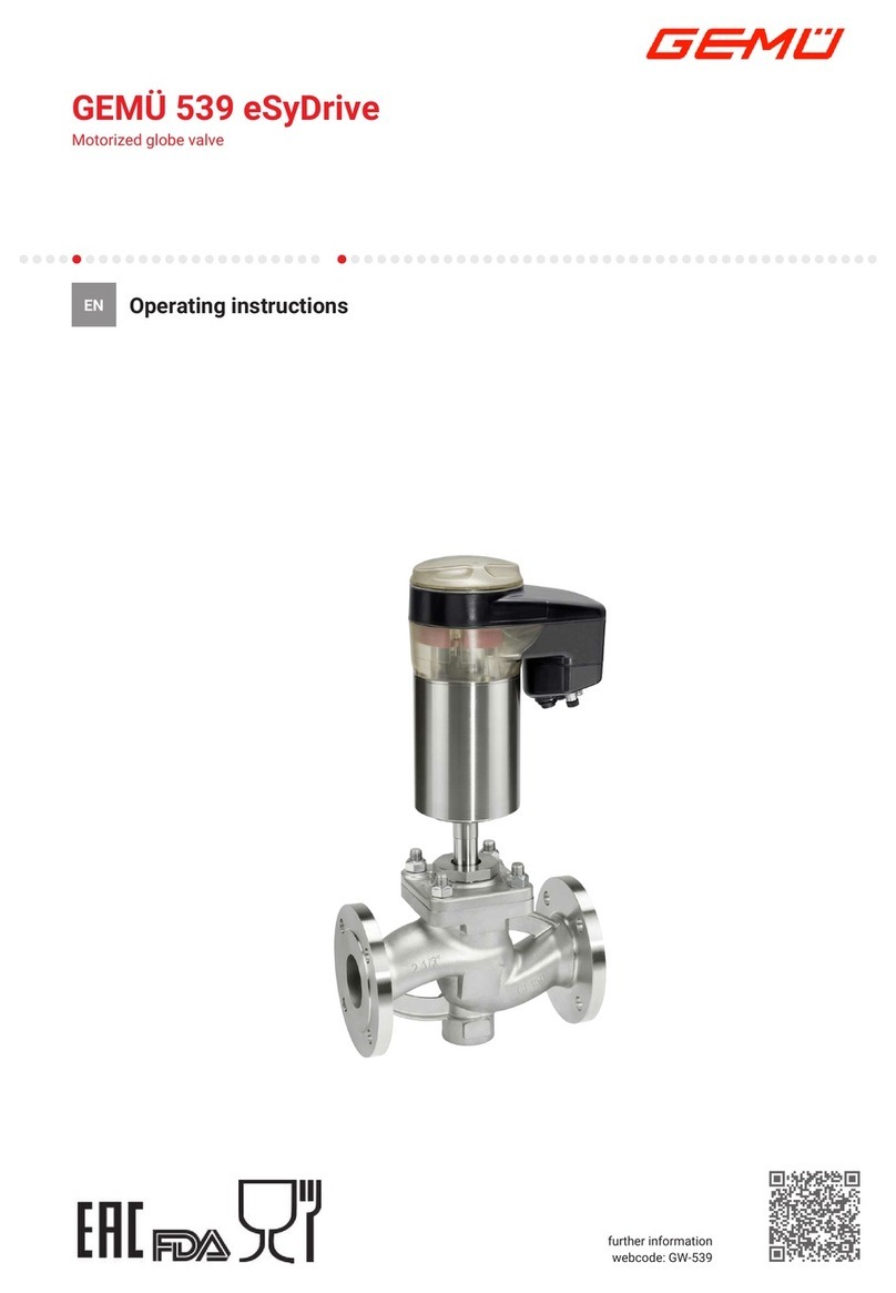 GEM 539 eSyDrive User manual