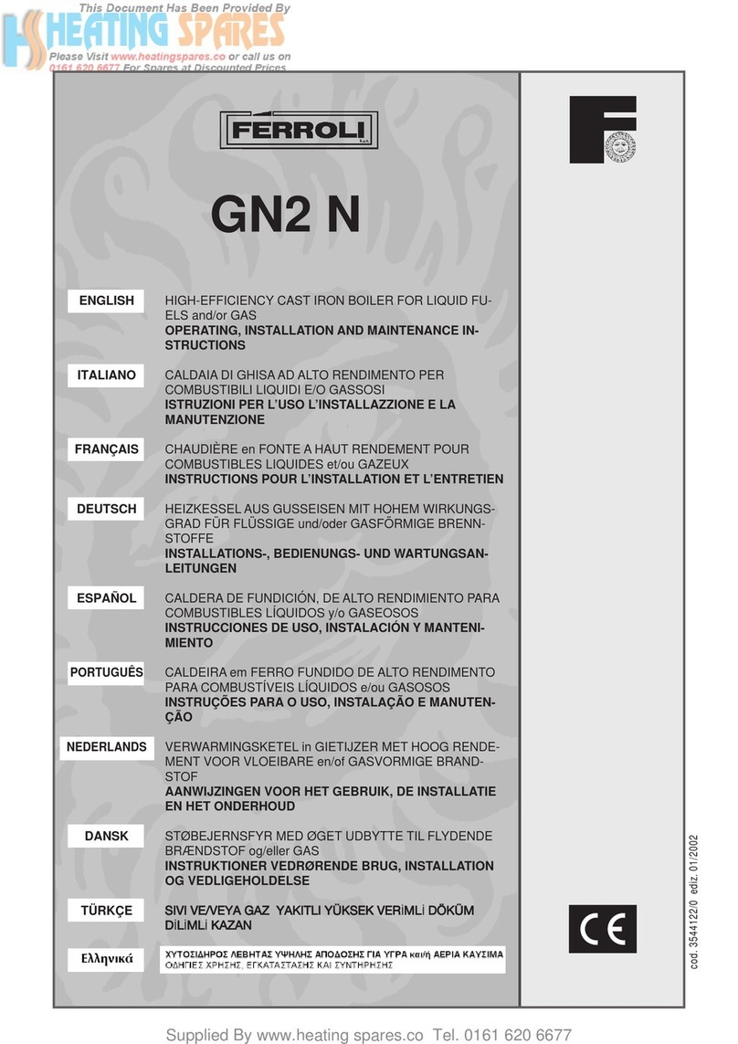 Ferroli GN2 N User manual Ferroli GN2 N User manual
