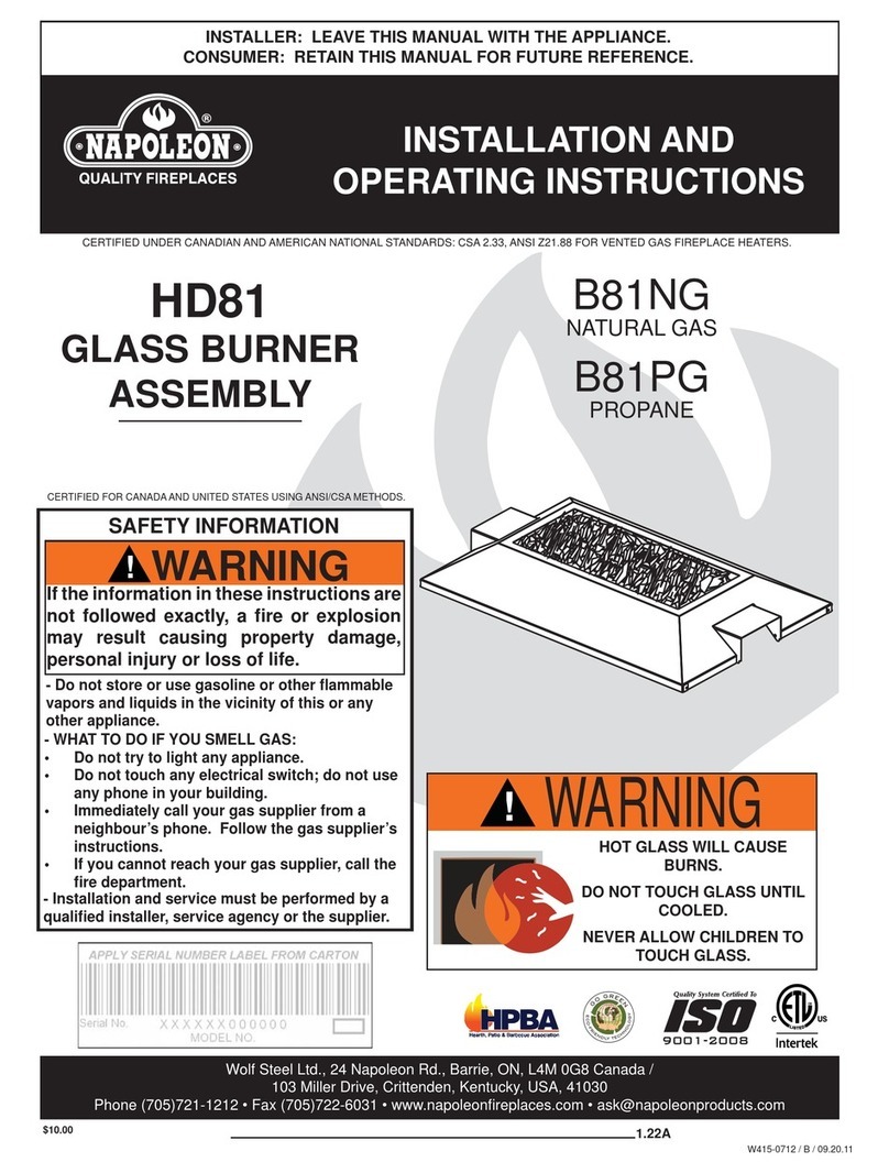 Napoleon HD81 User manual