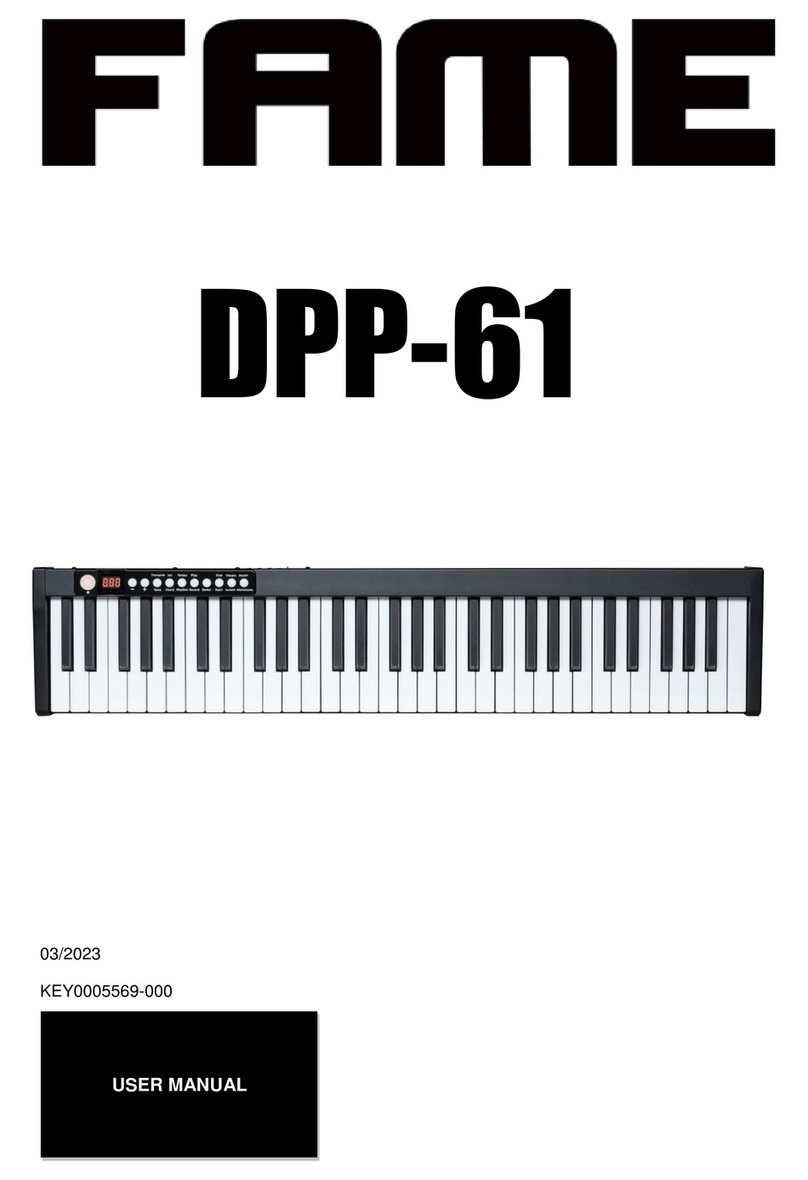 FAME DPP-61 user manual