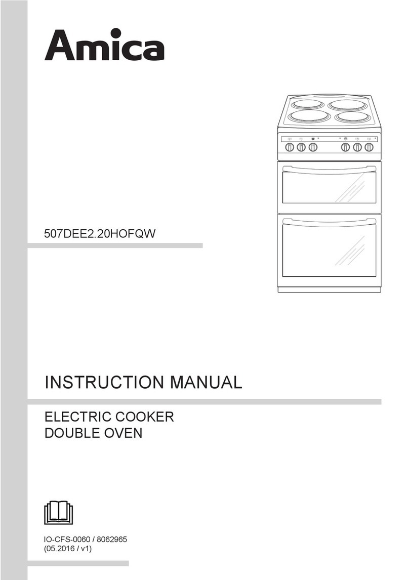 Amica 507DEE2.20HOFQW User manual Amica 507DEE2.20HOFQW User manual