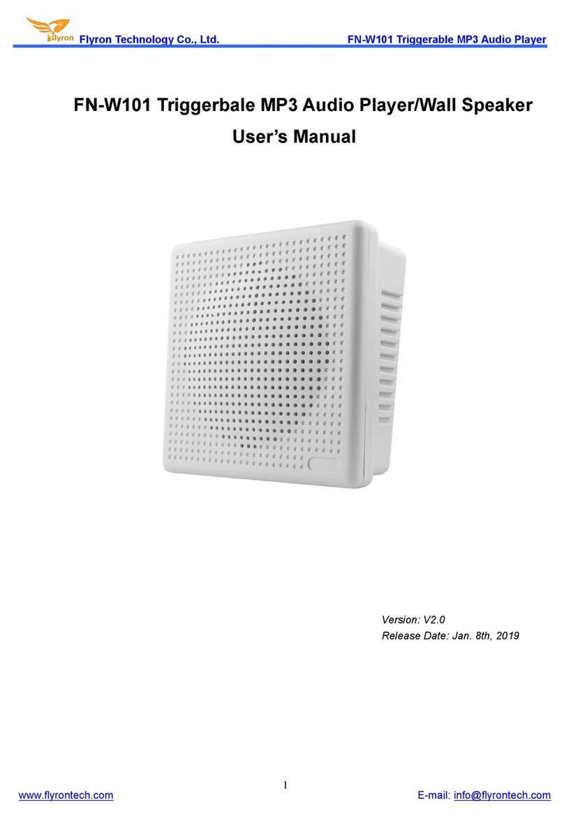 Flyron Technology FN-W101 user manual