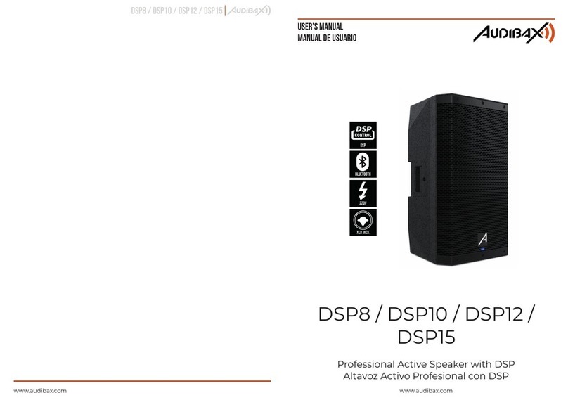 Audibax DSP8 User manual