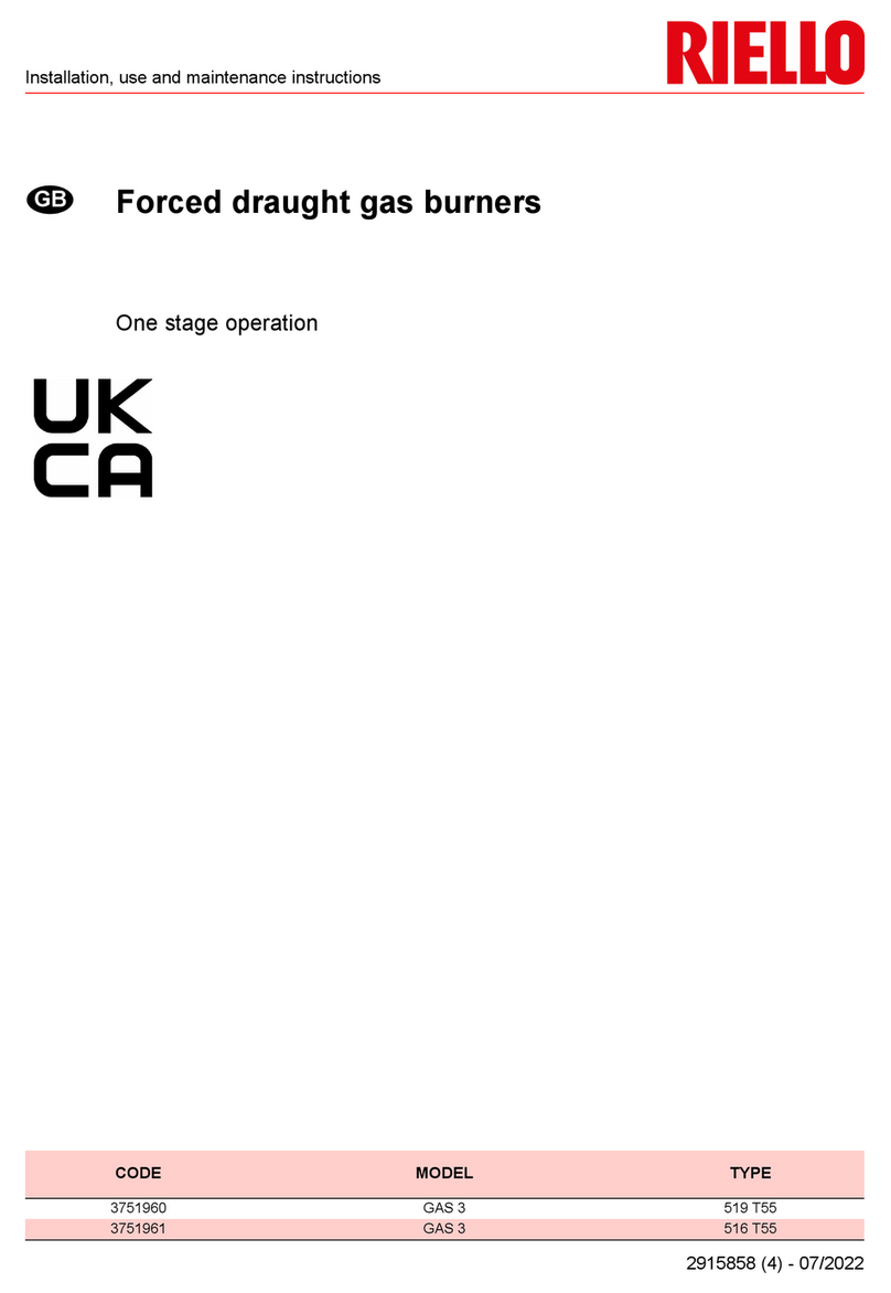 Riello GAS Series Quick start guide