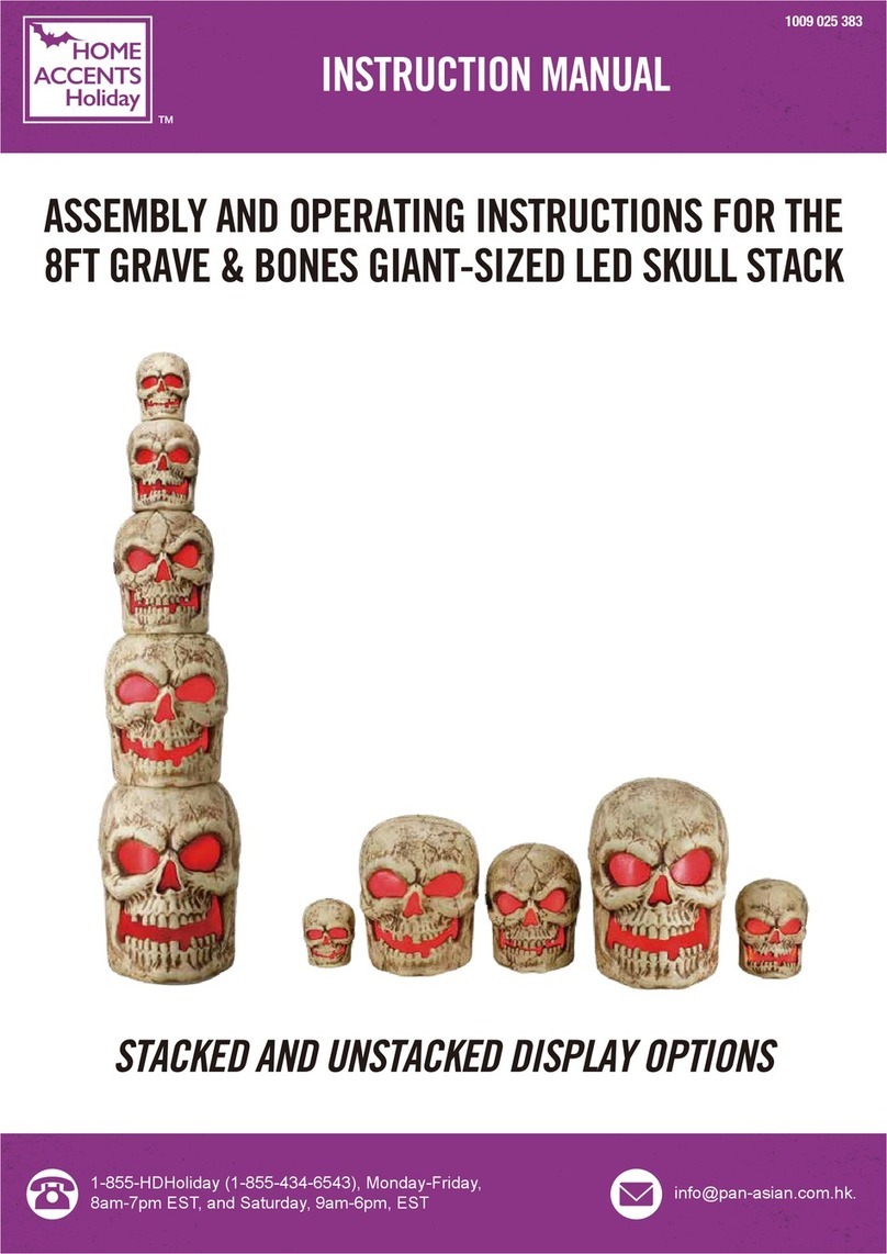 Home Accents Holiday 1009 025 383 instruction manual