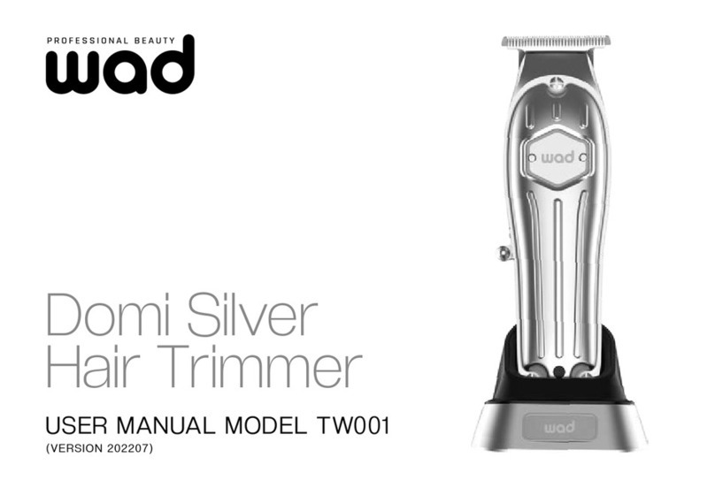 wad Domi Silver TW001 user manual
