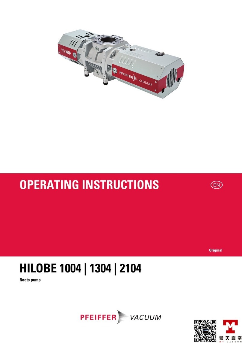Pfeiffer Vacuum HILOBE 1004 User manual