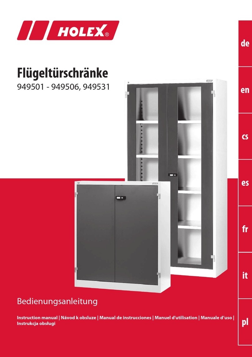 Holex 949501 instruction manual