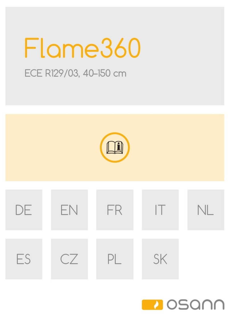 osann Flame360 User manual