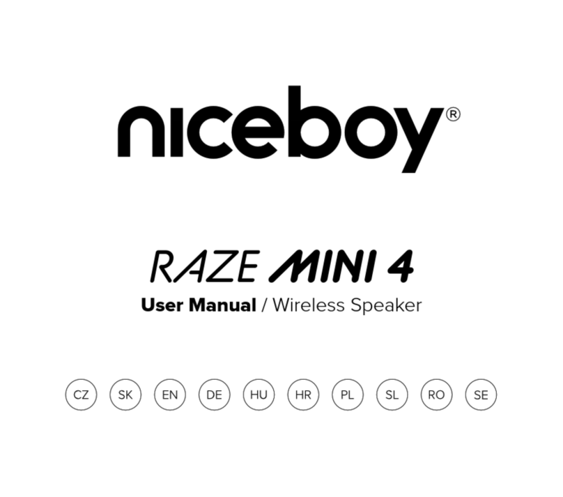 Niceboy RAZE MINI 4 User manual