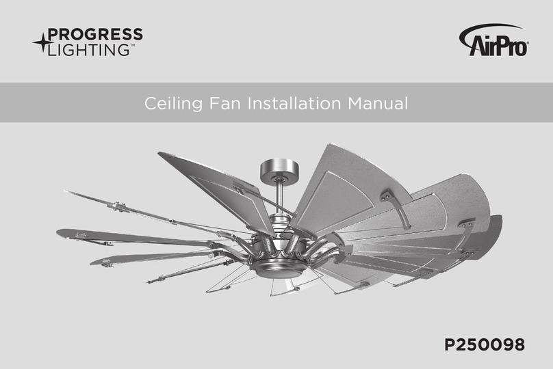 AirPro PROGRESS LIGHTING P250098 User manual