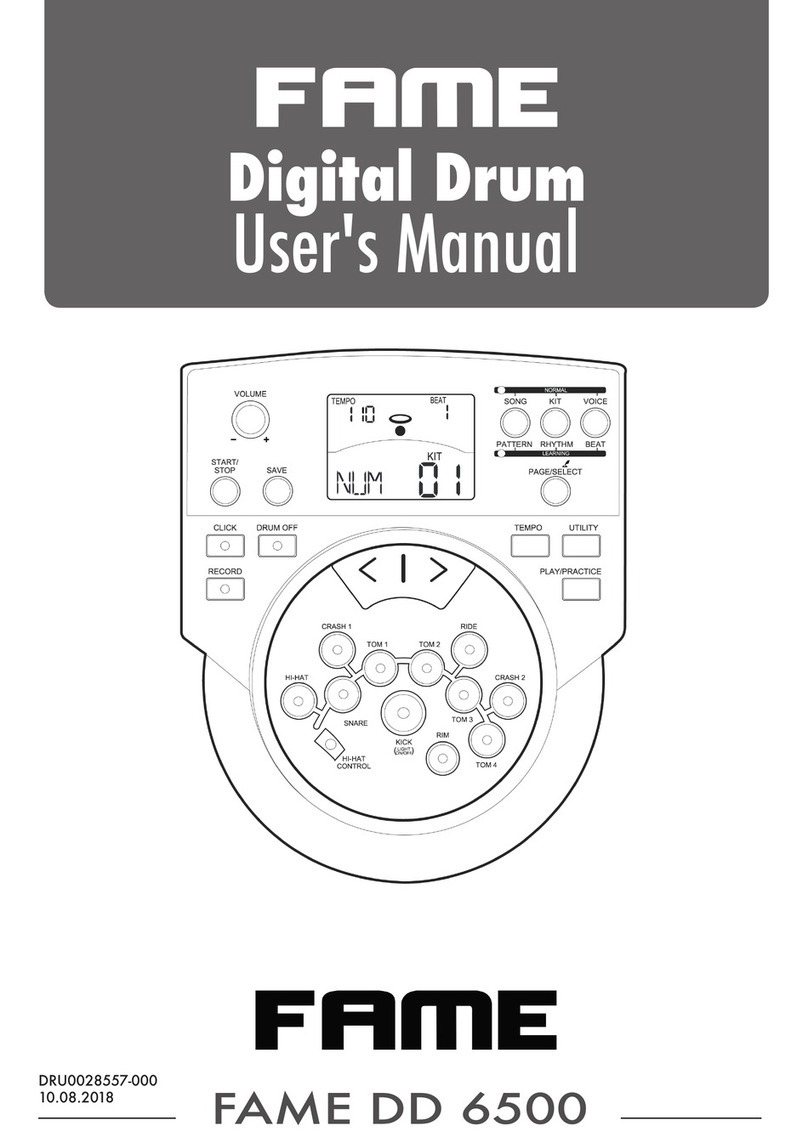 FAME DD 6500 user manual
