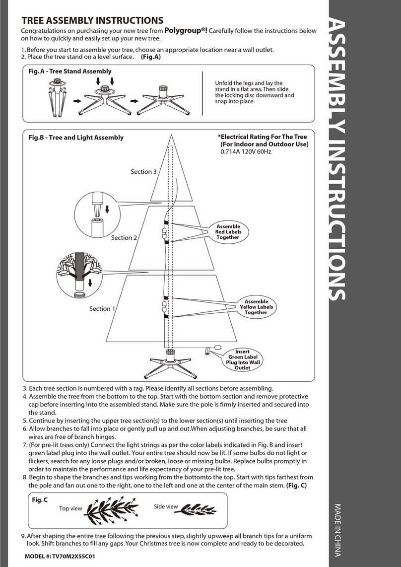 Polygroup TV70M2X55C01 User manual