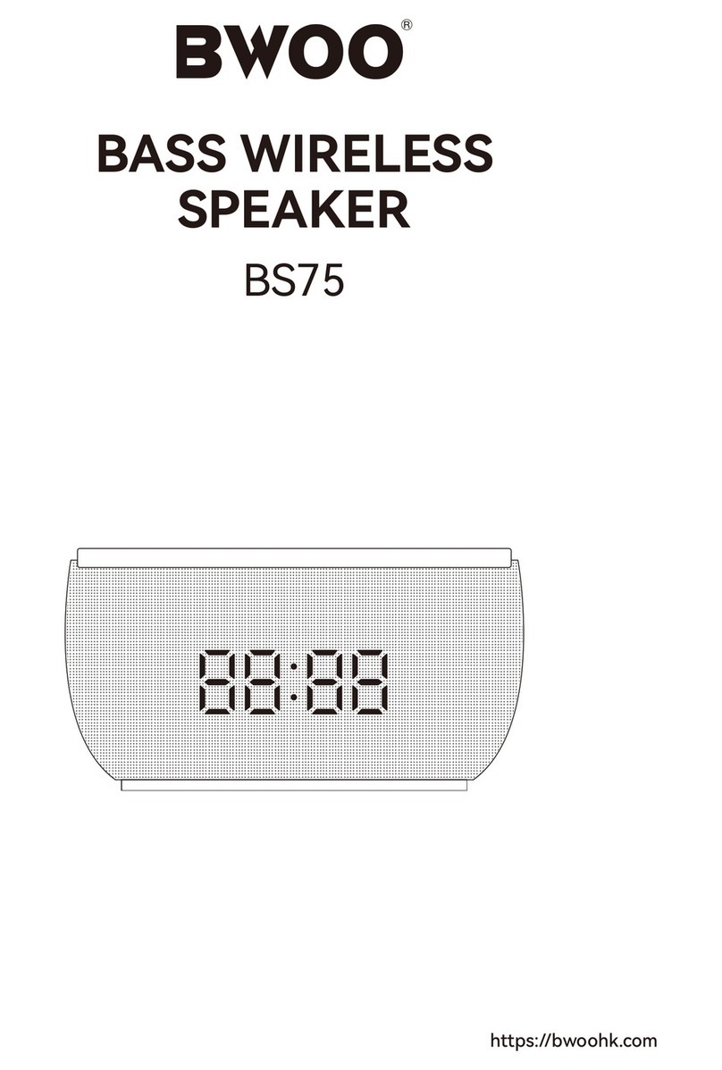 BWOO BS75 quick start guide