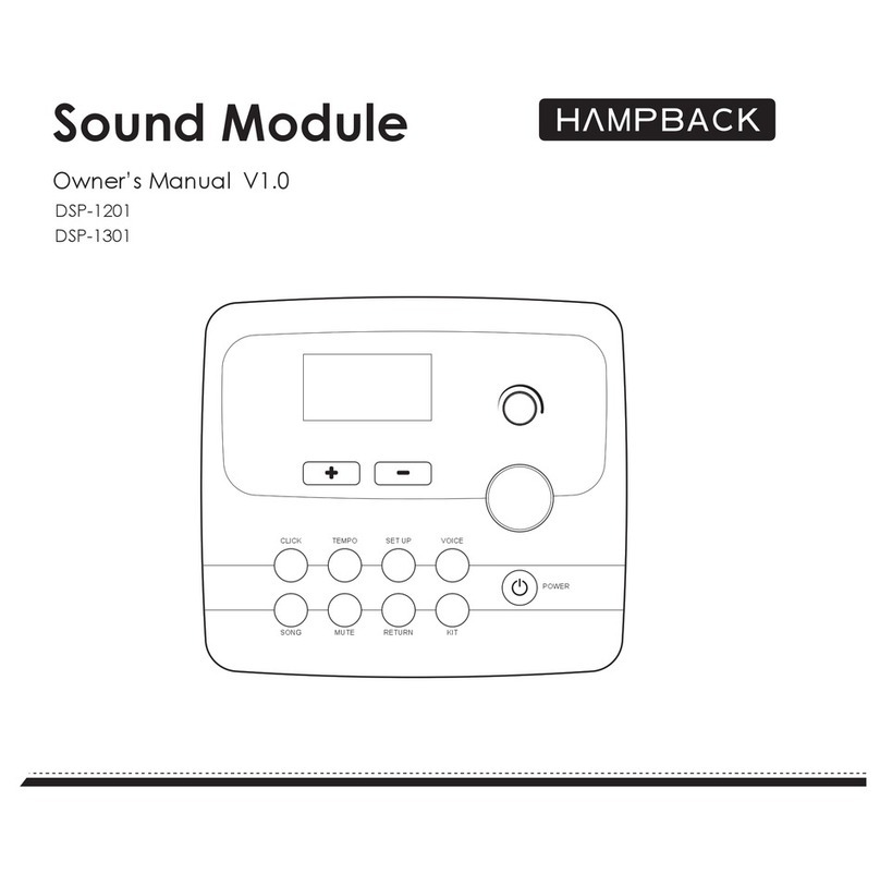 HAMPBACK DSP-1201 User manual