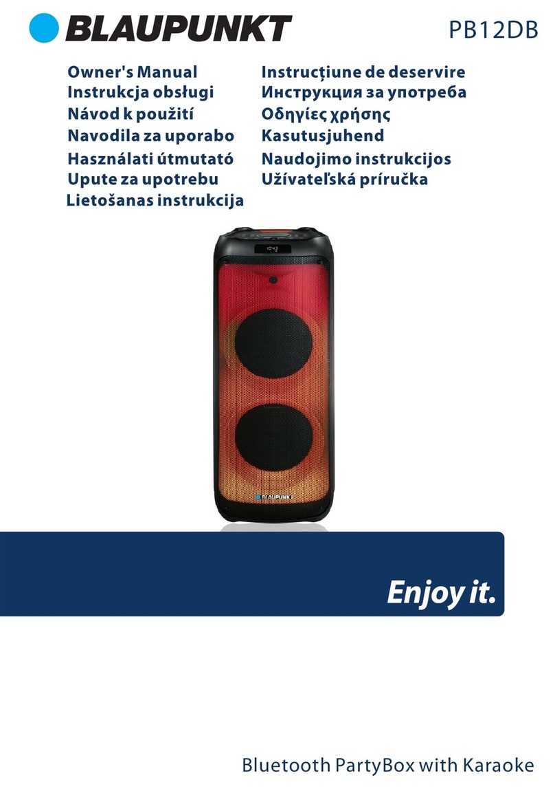 Blaupunkt PB12DB User manual
