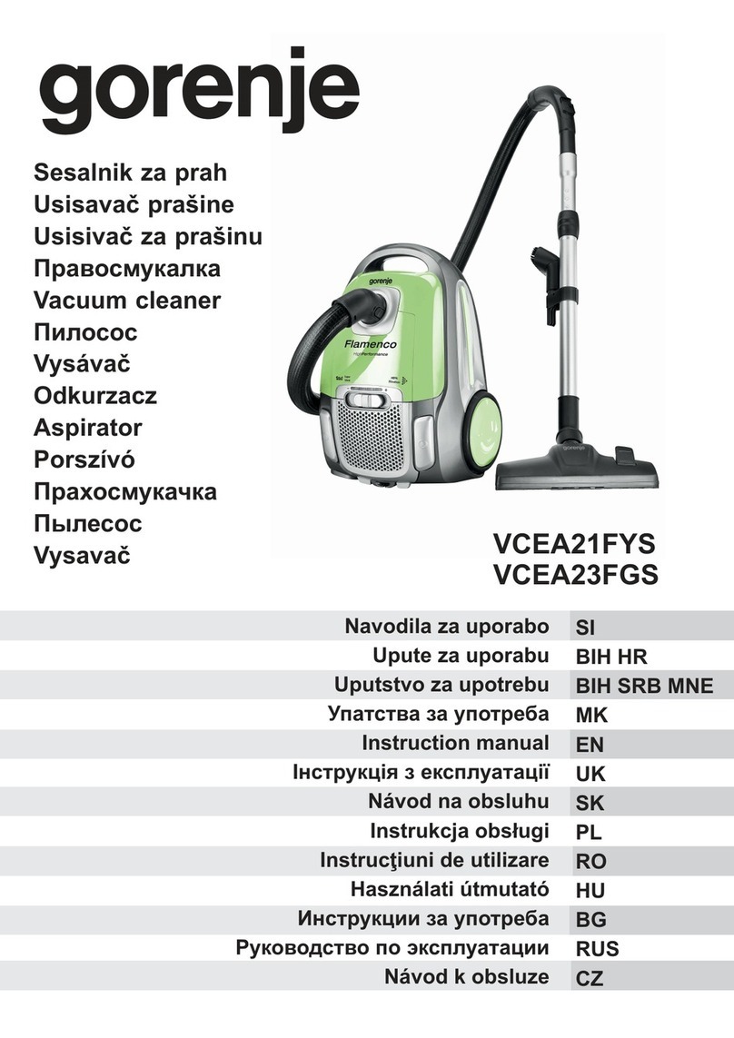 Gorenje VCEA21FYS User manual