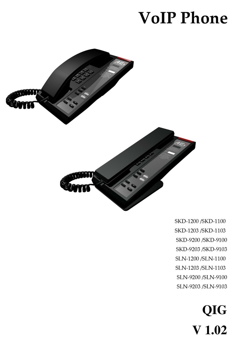 AEI SKD-1200 User manual