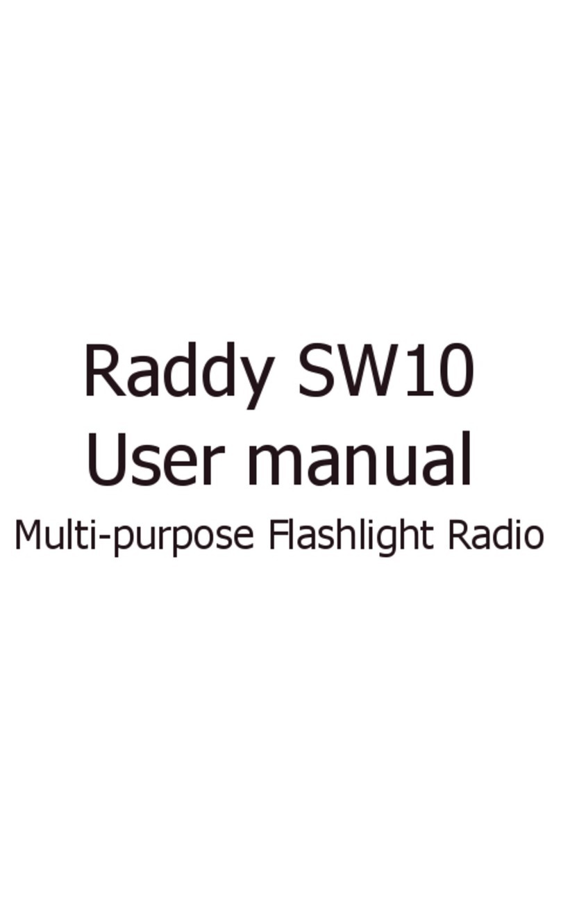 Raddy SW10 User manual