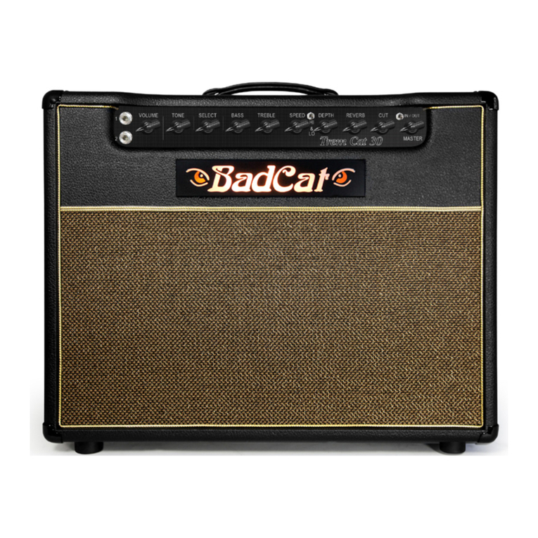 Bad Cat TREM CAT 30 User manual