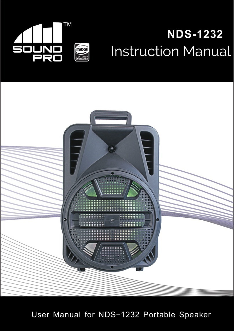 Sound Pro NDS-1232 User manual