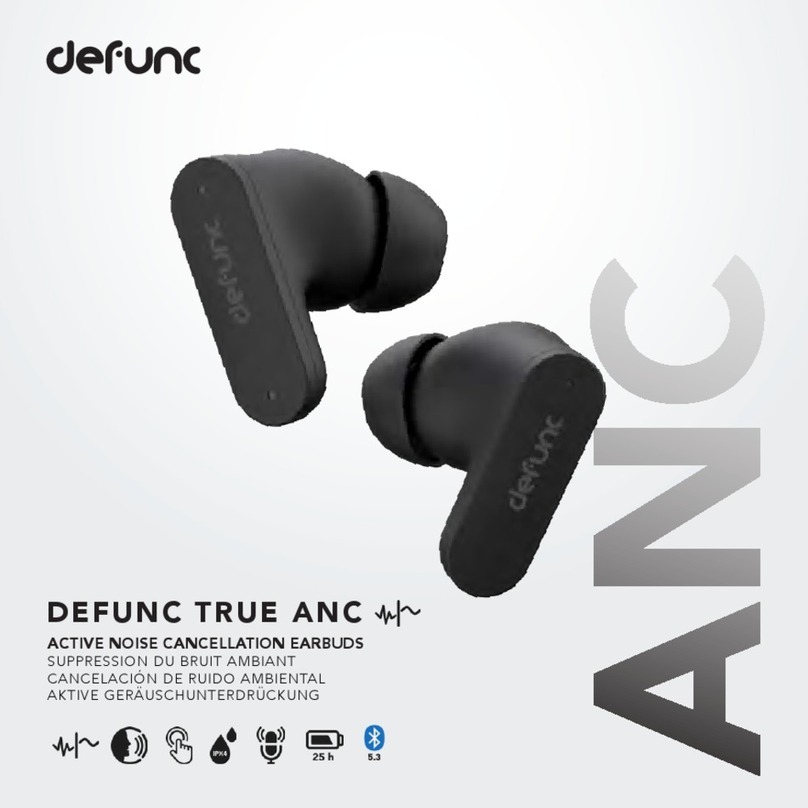 DeFunc TRUE ANC manual
