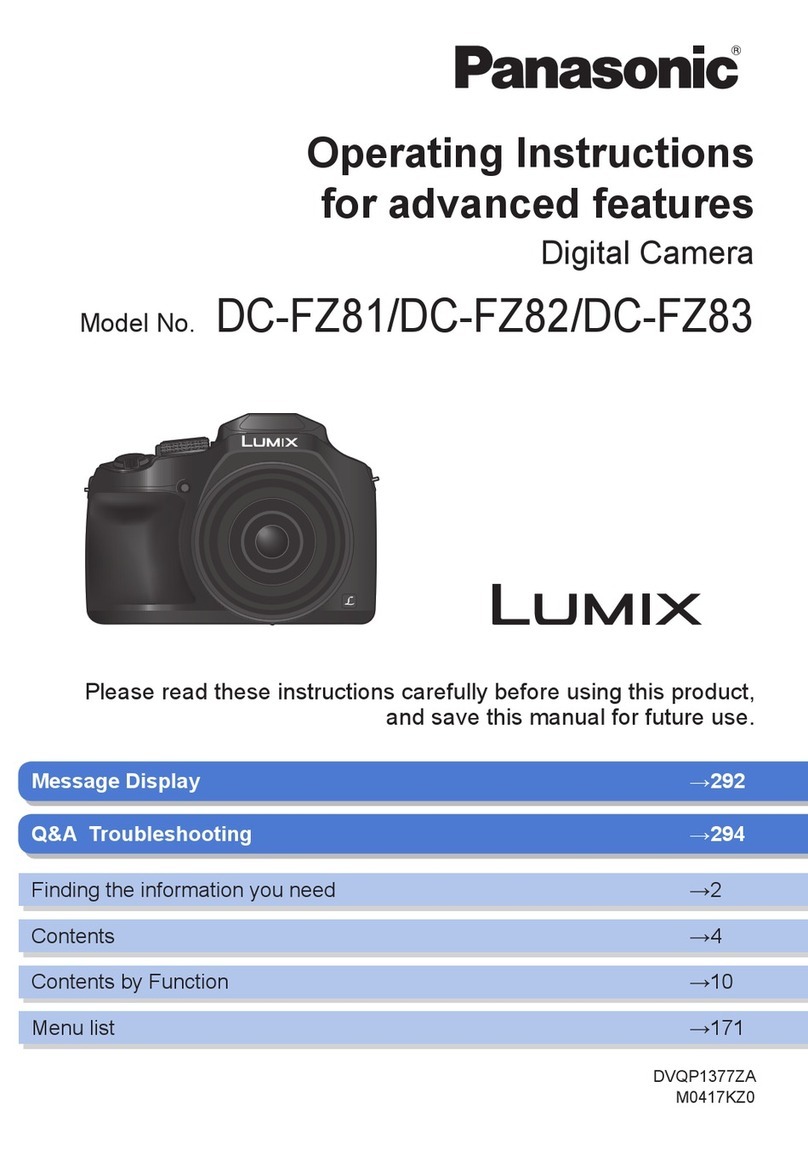 Panasonic LUMIX DC-FZ81 User manual