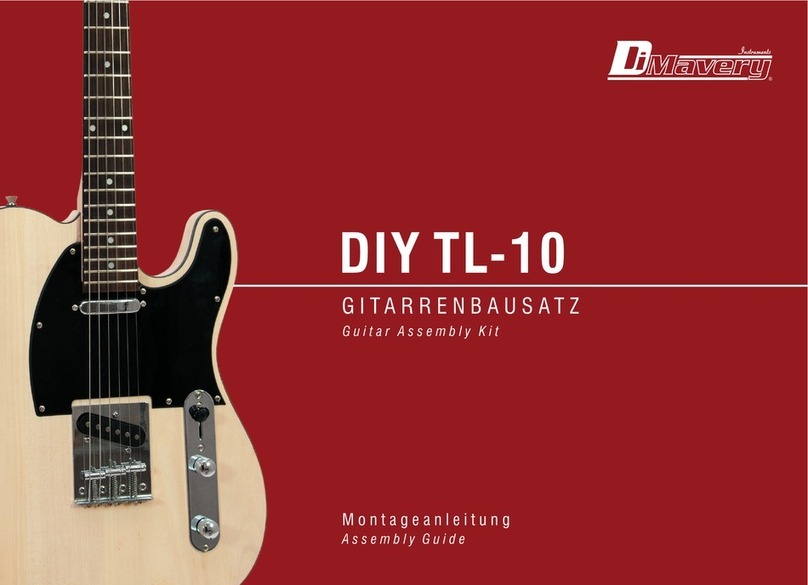 Dimavery DIY TL-10 Assembly guide