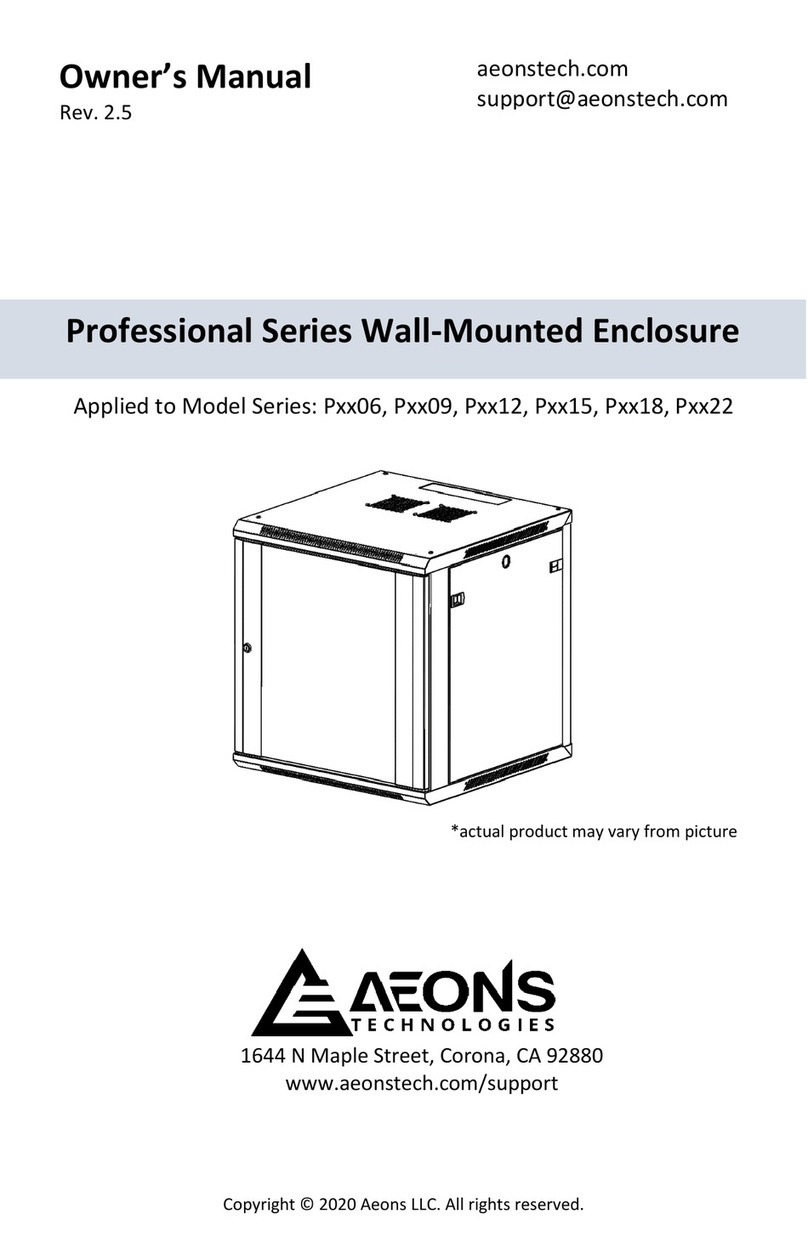 AEONS Technologies Professional Series owner's manual
