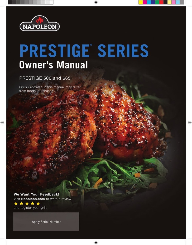 Napoleon P500RSIBNK-3-PHM owner's manual