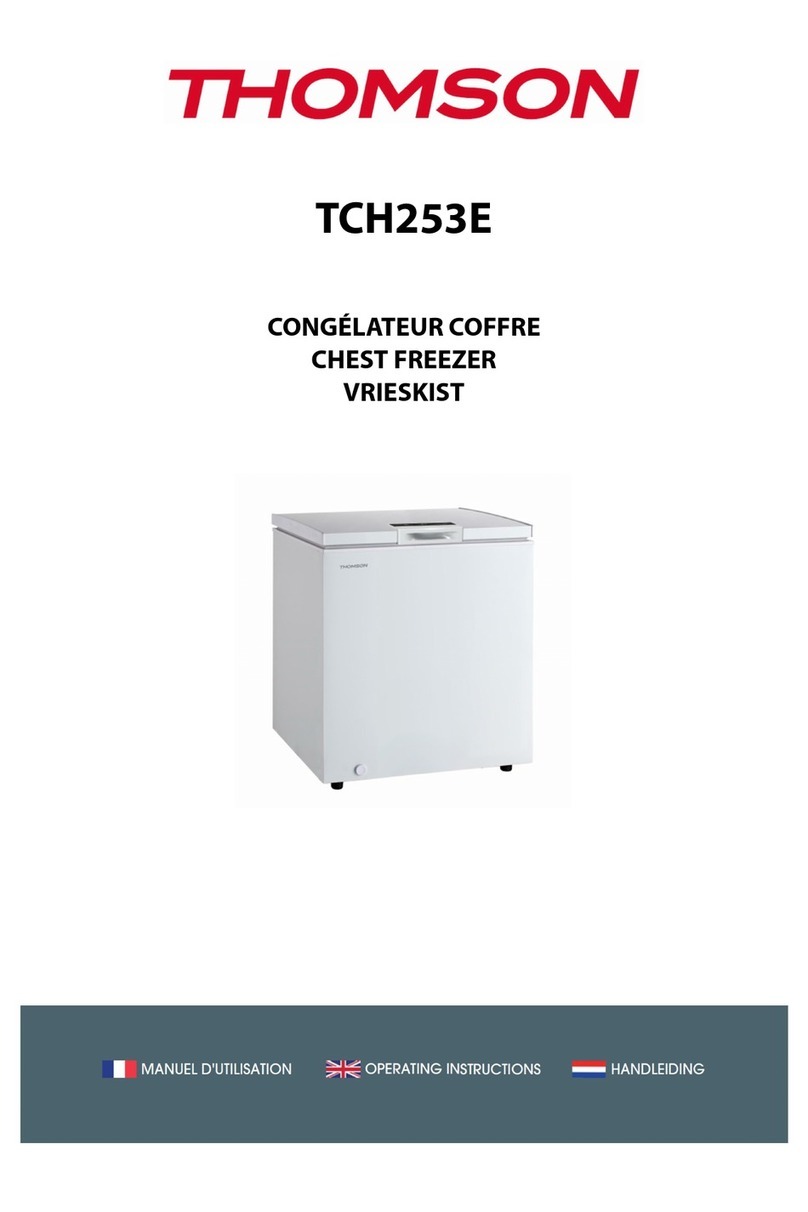 THOMSON TCH253E User manual THOMSON TCH253E User manual