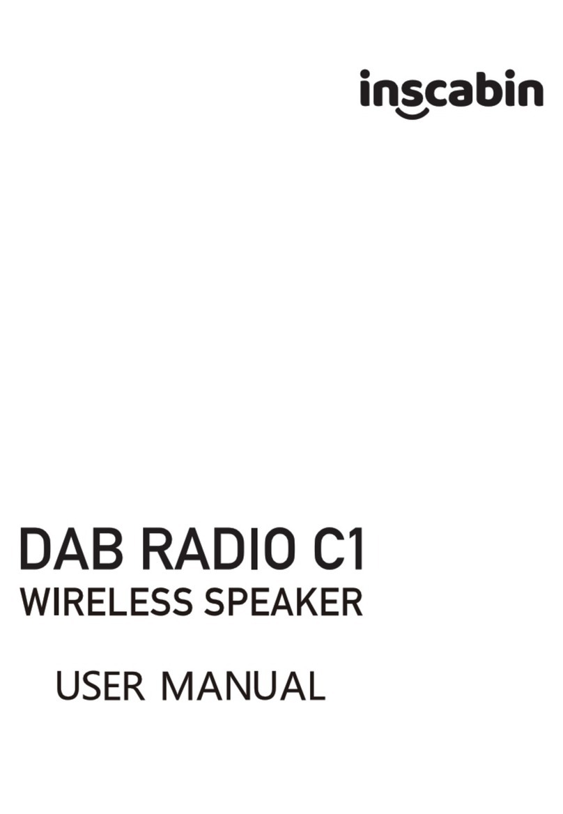 inscabin DAB RADIO C1 user manual