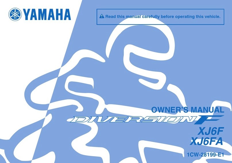 Yamaha DIVERSION F 2010 owner's manual