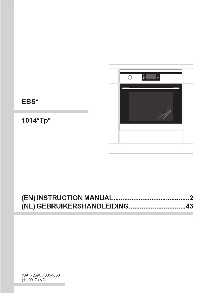 Amica EBS Series instruction manual