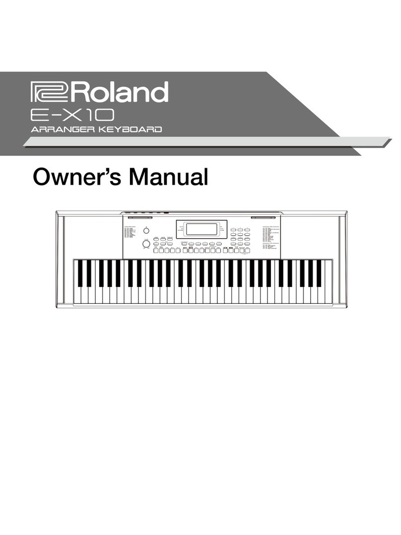 Roland E-X10 User manual