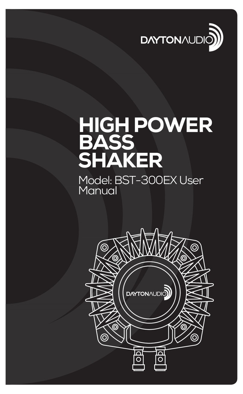 DaytonAudio BST-300EX user manual