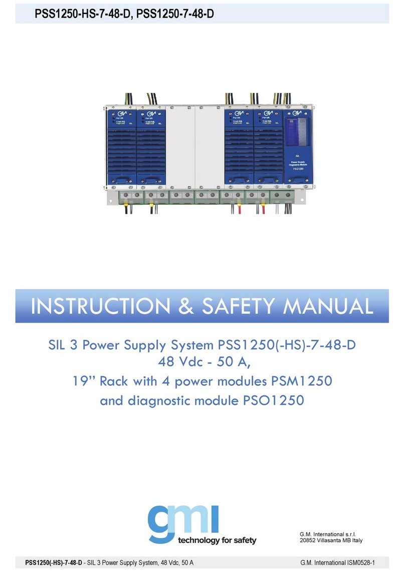 GMI PSS1250-HS-7-48-D Instruction & safety manual
