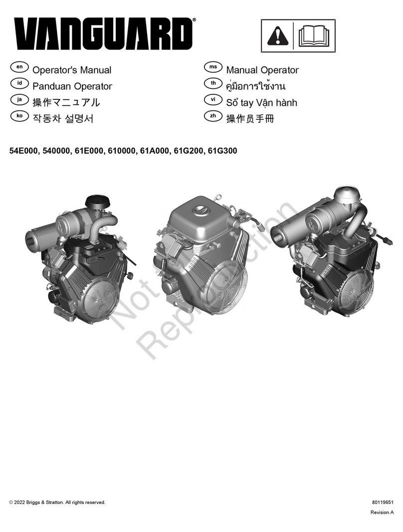 Briggs & Stratton 54E000 User manual